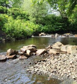 Mount Allen Farm – Farm Walks and Education