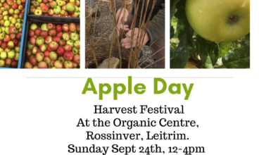 Join The Organic Centre Rossinver for their annual Apple Day Harvest
